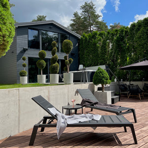 Backyard with concrete architecture elements and large gfrc concrete pots
