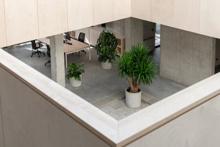 betona puķupodi ofiss concrete planters office